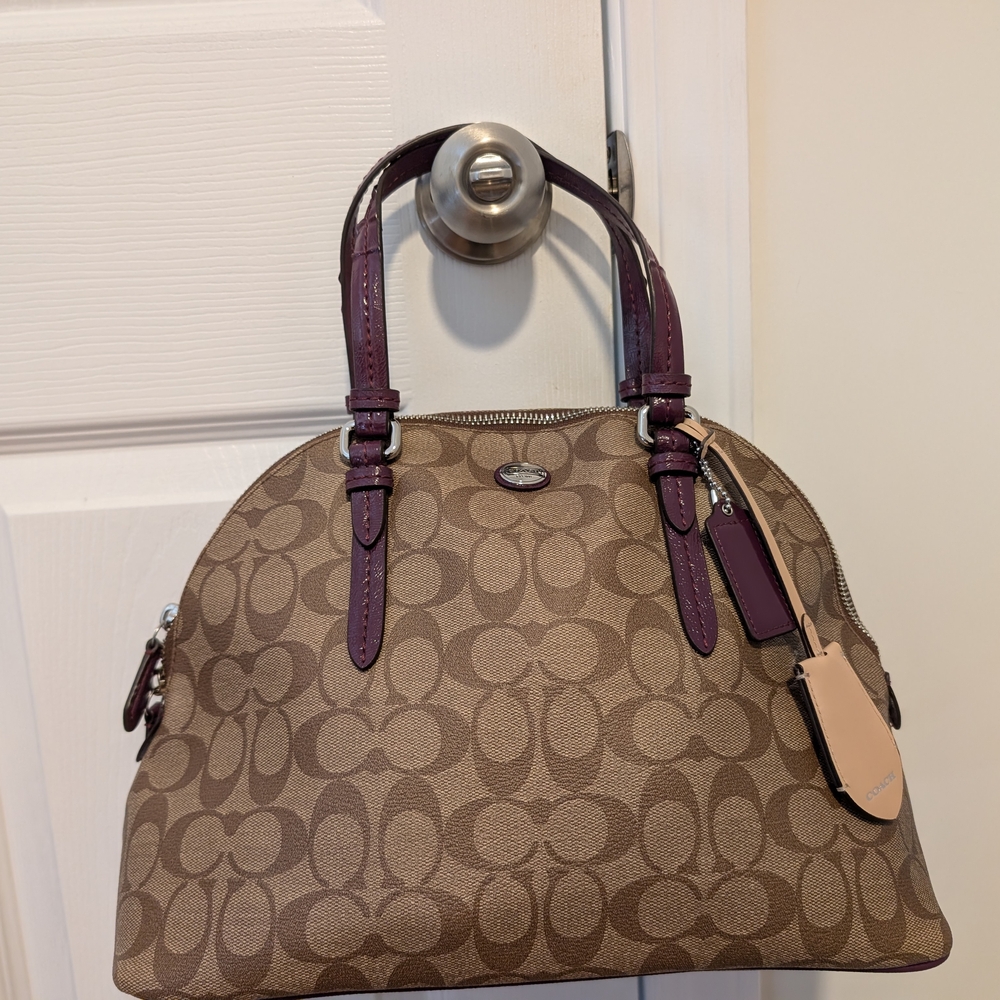 Coach Brown and Purple Signature Handbag